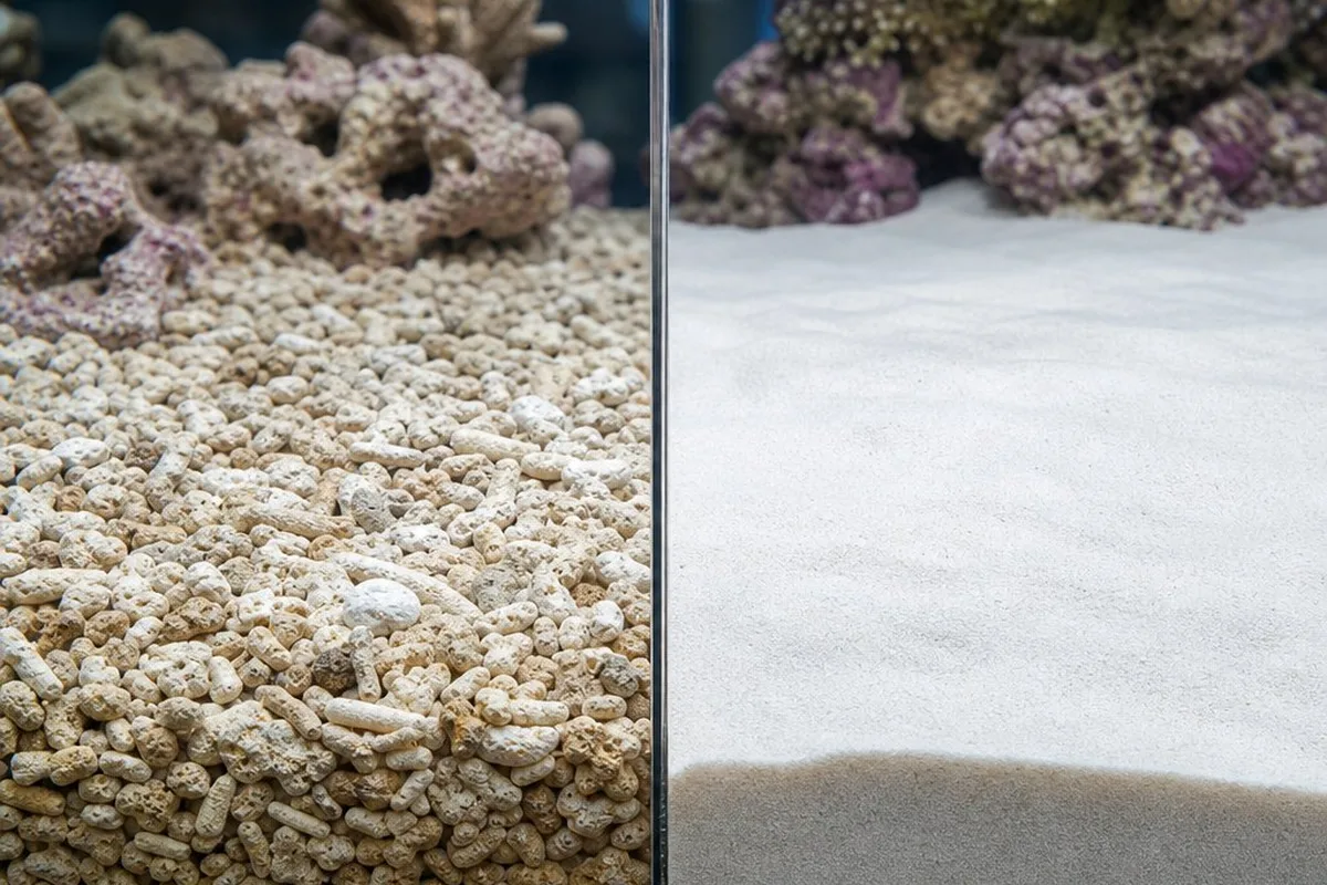 Side-by-side comparison of coarse crushed coral substrate and fine live sand in an aquarium