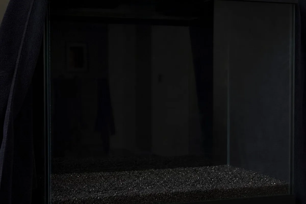 A darkened aquarium with the lights off and a towel partially covering the tank