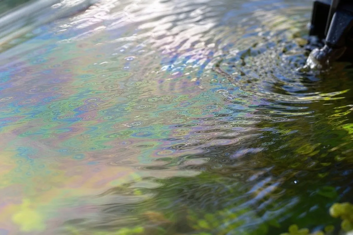 A thin oily film visible on the surface of aquarium water, with ripples from a filter outflow nearby