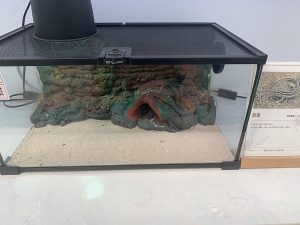 Aquarium Sand Filter problems