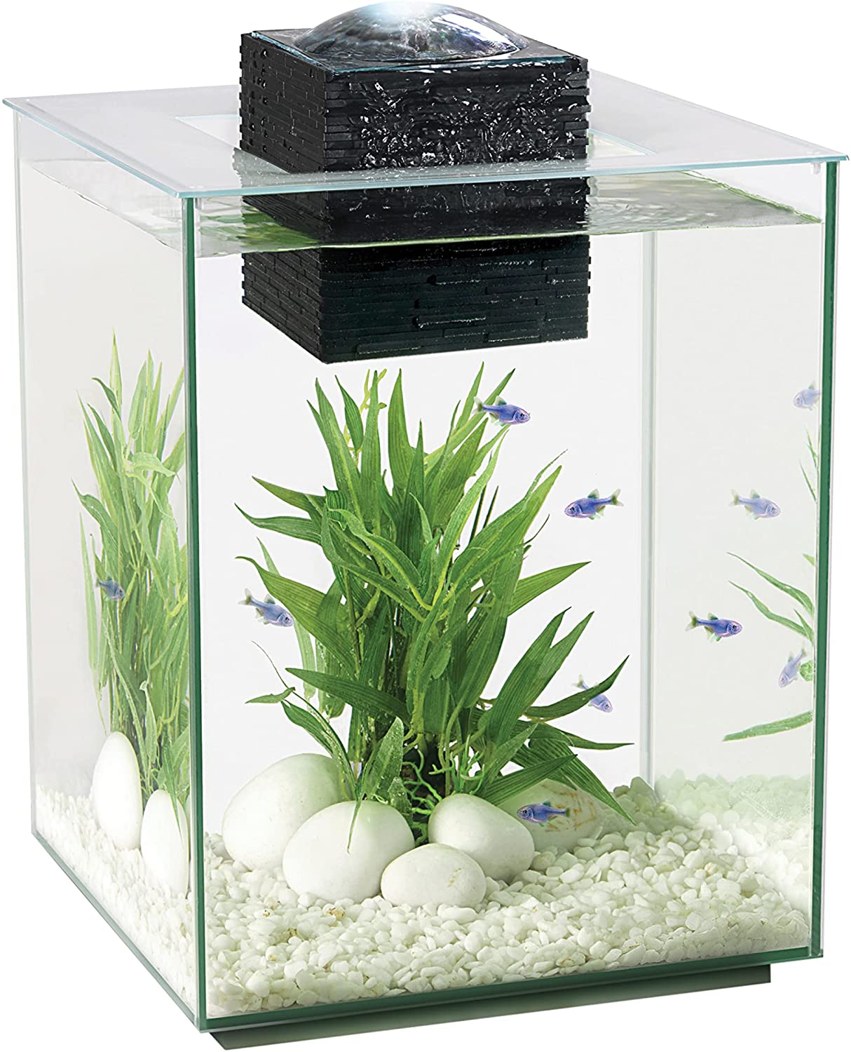 Fluval Chi Aquarium Light Not Working