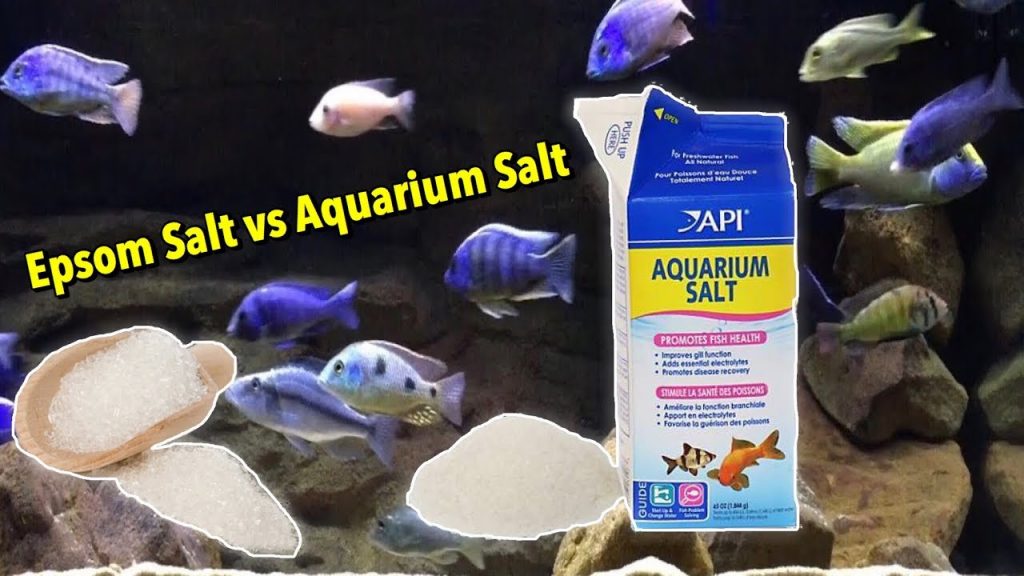 Epsom Salt for African Cichlids